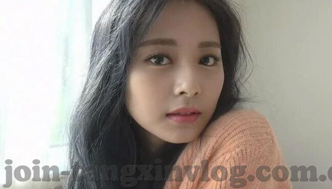 在线播放成人视频-成人视频的在线播放,网络时代的隐私与边界